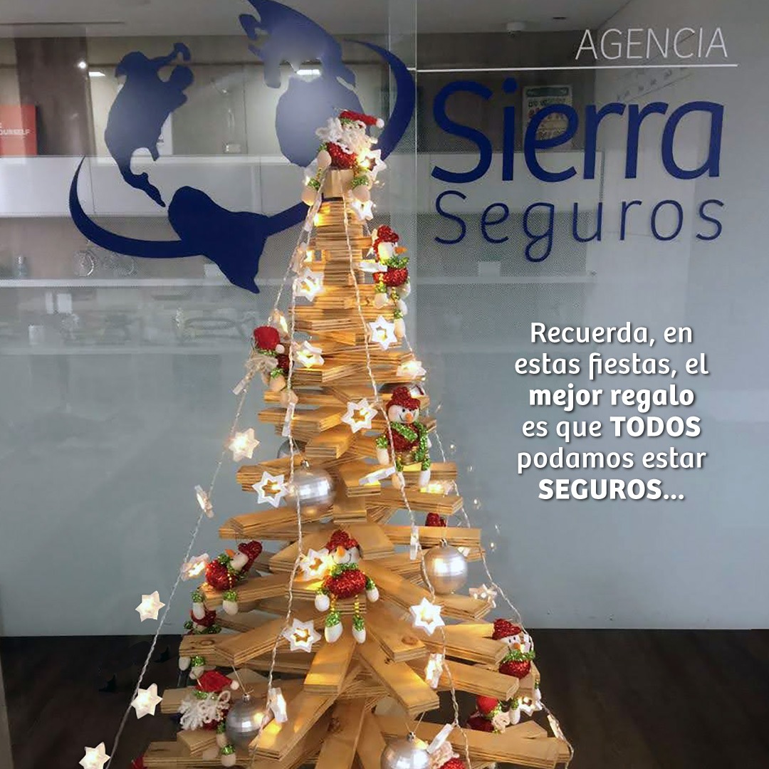 Consejos para estar seguros en época de navidad